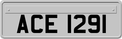 ACE1291