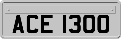 ACE1300