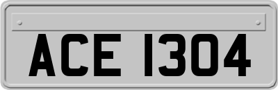 ACE1304