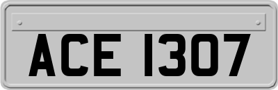 ACE1307