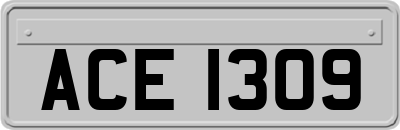 ACE1309