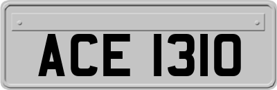 ACE1310