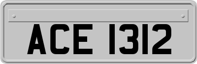 ACE1312