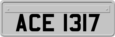 ACE1317