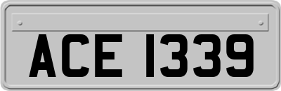ACE1339