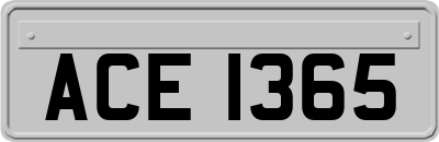 ACE1365