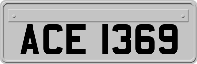 ACE1369