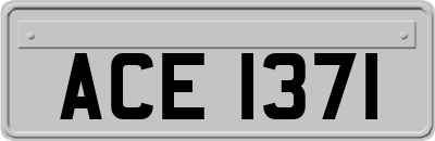 ACE1371