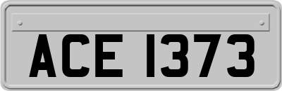 ACE1373