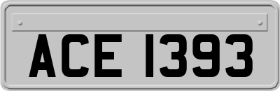 ACE1393