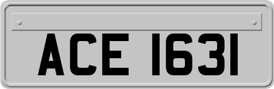 ACE1631