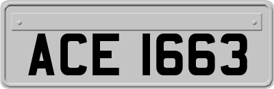 ACE1663