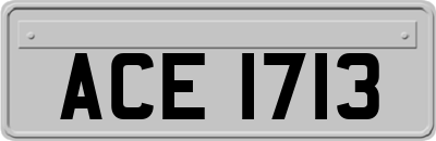 ACE1713