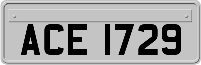 ACE1729