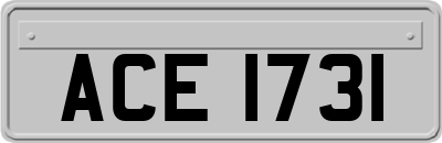 ACE1731