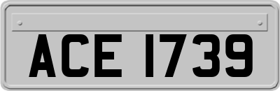 ACE1739