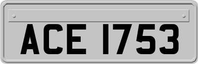 ACE1753