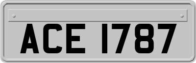 ACE1787