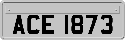 ACE1873