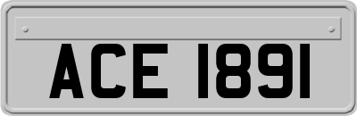 ACE1891