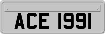 ACE1991