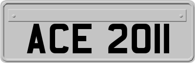 ACE2011