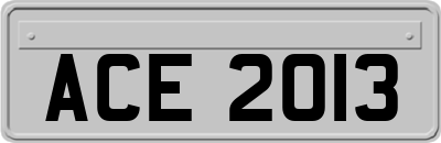 ACE2013
