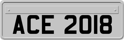 ACE2018