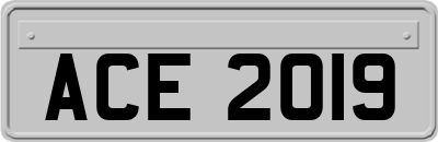 ACE2019