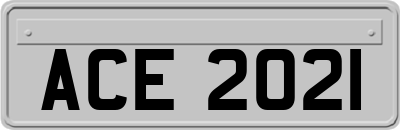 ACE2021