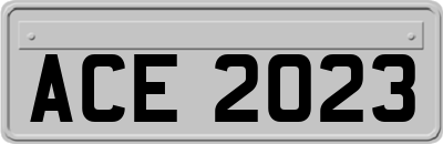 ACE2023