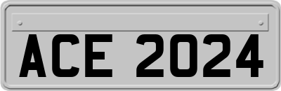 ACE2024