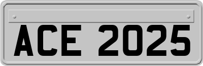ACE2025