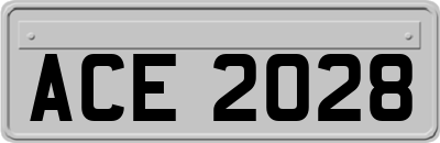ACE2028