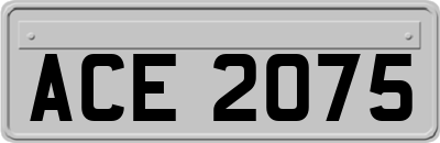 ACE2075