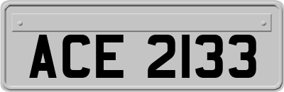 ACE2133