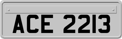 ACE2213