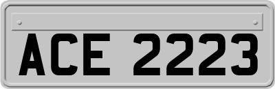 ACE2223