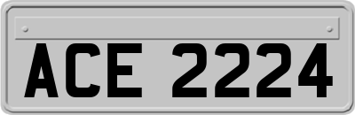 ACE2224