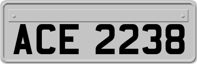 ACE2238