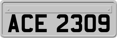 ACE2309