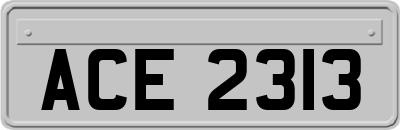 ACE2313
