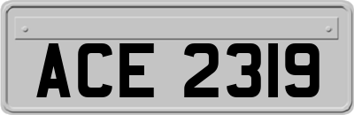 ACE2319
