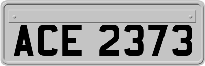 ACE2373