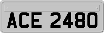 ACE2480