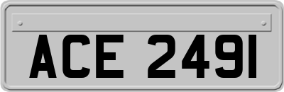 ACE2491