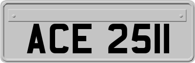ACE2511