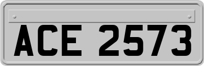 ACE2573