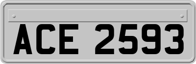 ACE2593
