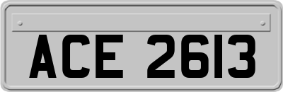 ACE2613